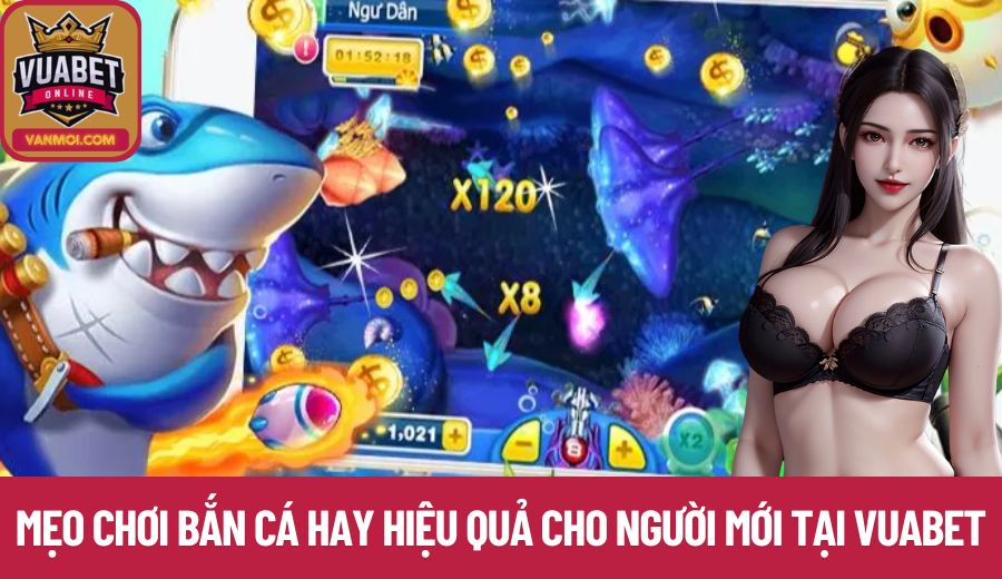 Mẹo chơi bắn cá hay hiệu quả cho người mới tại Vuabet