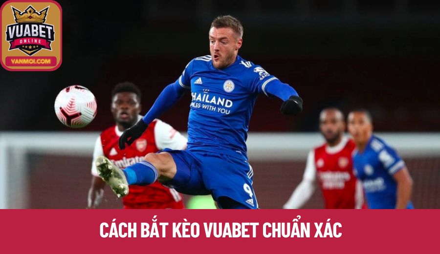 Cách bắt kèo bóng đá Vuabet chuẩn xác
