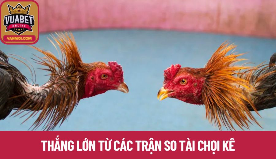 Chọi kê được đông đảo người chơi yêu thích trên trang web