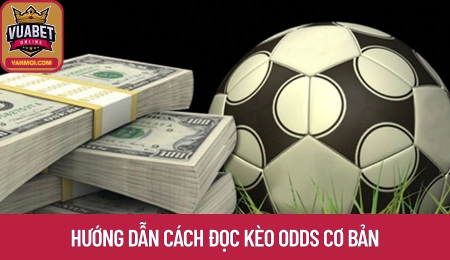 Hướng dẫn cách đọc kèo odds cơ bản