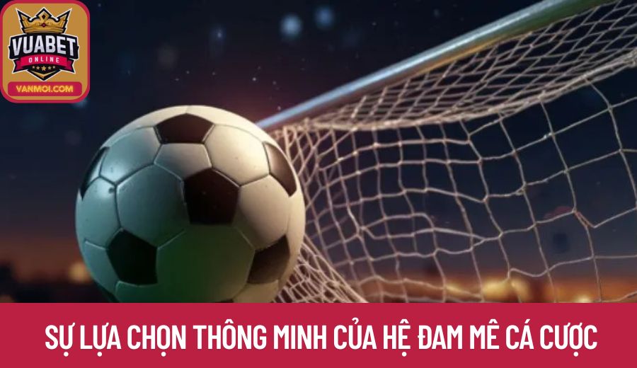 Kèo chấp ¼ - Sự lựa chọn thông minh của hệ cá cược